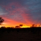 Harts Range sunrise