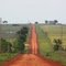 N. Evan's Road