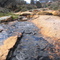 Flowing Creek