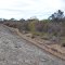 Merredin Peak