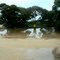 Water locked camp site, near Mundrabilla, Western Australia