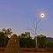 Total Solar Eclipse 2012 SAROS
