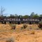 Kinchega National Park