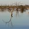 east Menindee Lake, NSW, Australia