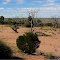 dry west Menindee Lake,  NSW, Australia