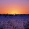 Sunset in Outback: Menindee / NSW (Sep. 1979)