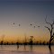 Menindee Pamaroo Lake (After Sunset Pelican flight)