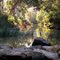 Brimbank Park