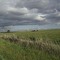 Greenvale, Victoria, Australia