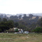 Landscape near Merton