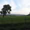 Fields near Merton Vic