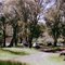 Polly McQuinnes Reserve camp ground