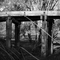 Old Railway to Mansfield 2007