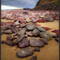 Rocks