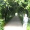 Beautiful Garden walkway near Eden