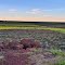 Mingenew
