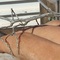 Stick Insect