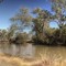 Barwon Riverbank