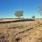 Mungindi - the remains of the station platform and building in the foreground, the goods loading platform still existing, June 2011.