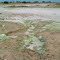 Copper oxidate in the Desert Australia