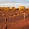 The Oldest Fence in the Murchison #3