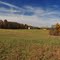 Prism Point Farm