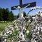 Mt. Calvary Cemetary