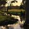 Brook near Margaret River
