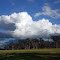 Cumulus clouding
