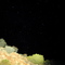 Southern Cross and Pointers