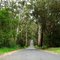 Hordens Road