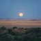 Port Rickaby Easter Moon