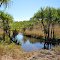 Small waterhole - Michell Plateau