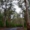 Manjimup...Pity you can't hear the birds like I did.
