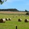 Hay baling season