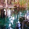 fast flowing, warm water, Mataranka