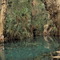 Thermal pools at Mataranka