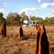 *** Mataranka, Termite 2 , Australia ***
