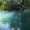 Berry Springs Lower Pool