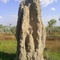 Termite mound,  on the way into Darwin