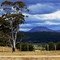 Ｑｕａｍｂｙ　Ｂｌｕｆｆ