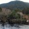 Mersey River at Liena with Solomon's Knob behind