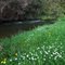 Creek beside Mole Creek Caravan Park
