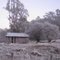 Frosty morning in Mole Creek