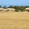 Old Farm Buildings near Maitland, 12 February 2006