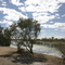 Waterhole at Muloorina Station