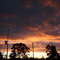 Before Sunset