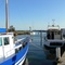 Mordialloc  Creek