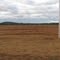 local footy oval