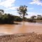 The Outback After Rain